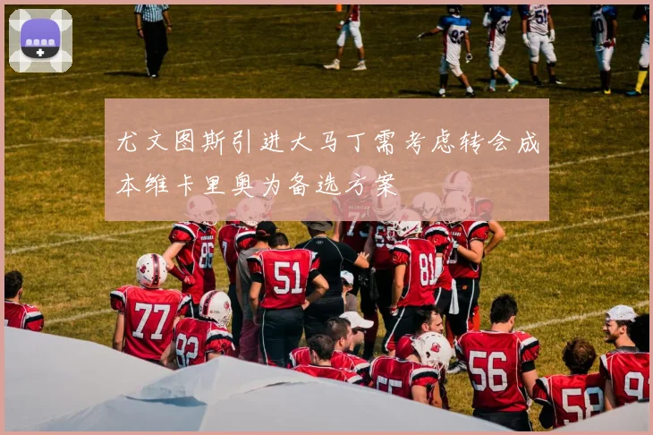 尤文图斯引进大马丁需考虑转会成本维卡里奥为备选方案